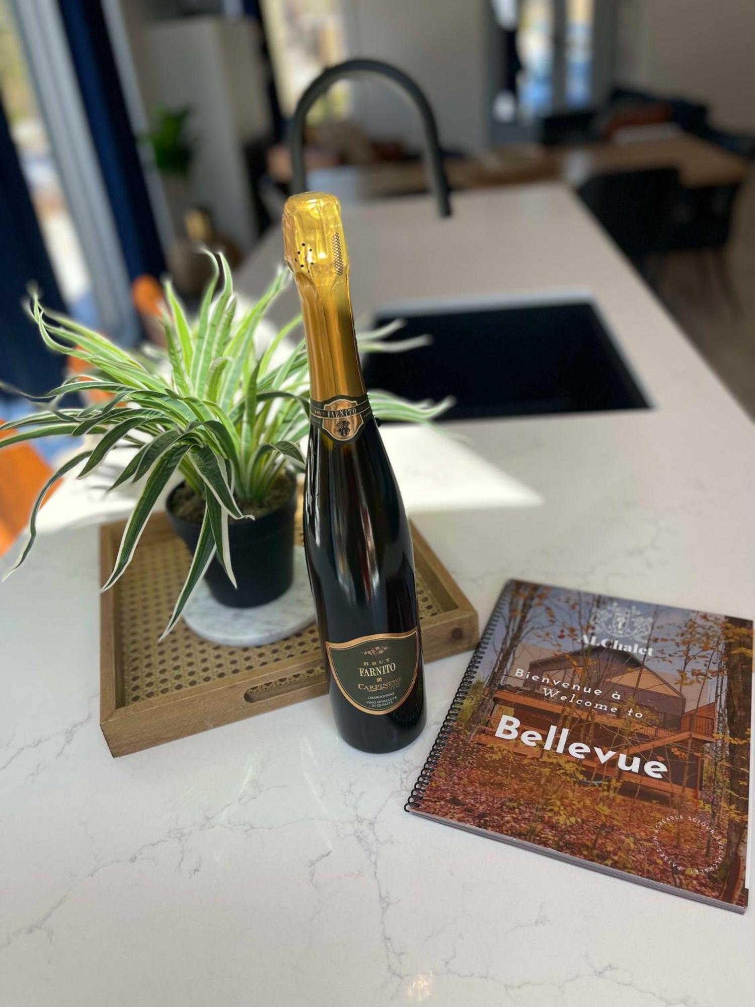 Chalet Bellevue Luxe Avec Spa Et Local A Velo Pont-Rouge المظهر الخارجي الصورة